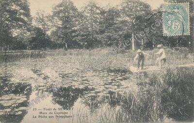 Carte postale ancienne Foret de Senart — Montgeron (Essonne)