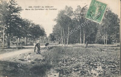 Carte postale ancienne Foret de Senart — Montgeron (Essonne)