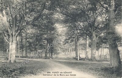 Carte postale ancienne Foret de Senart — Montgeron (Essonne)