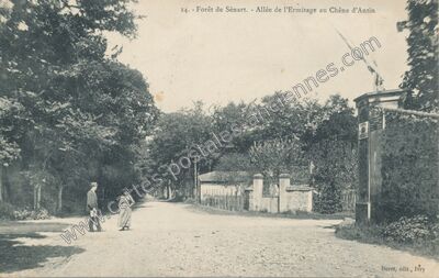 Carte postale ancienne Foret de Senart — Montgeron (Essonne)