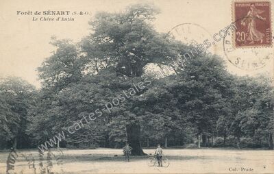 Carte postale ancienne Foret de Senart — Montgeron (Essonne)
