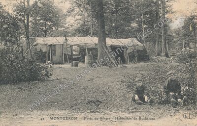 Carte postale ancienne Foret de Senart — Montgeron (Essonne)