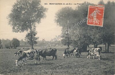Carte postale ancienne La Prairie — Montgeron (Essonne)