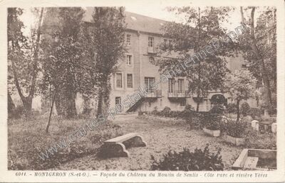Carte postale ancienne Façade du Château du Moulin de Senlis - Côte parc et rivière Yères — Montgeron (Essonne)