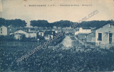 Carte postale ancienne Panorama de Paris — Montgeron (Essonne)