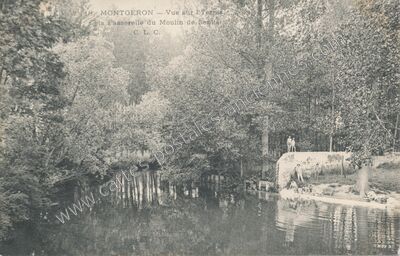 Carte postale ancienne La Passerelle du Moulin de Senlis — Montgeron (Essonne)
