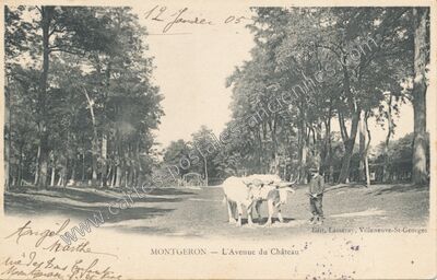 Carte postale ancienne L'Avenue du Château — Montgeron (Essonne)