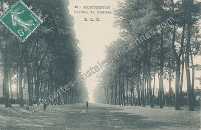 Carte postale ancienne Avenue du Château — Montgeron (Essonne)
