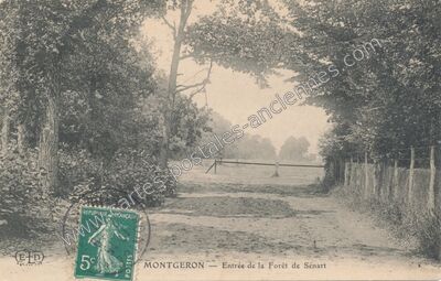 Carte postale ancienne Entrée de la Forêt de Sénart — Montgeron (Essonne)