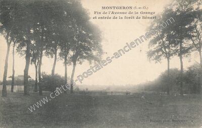 Carte postale ancienne Fin de l'Avenue de la Grange et entrée de la forêt de Sénart — Montgeron (Essonne)