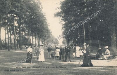 Carte postale ancienne L'Avenue du Château — Montgeron (Essonne)