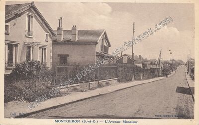 Carte postale ancienne L'Avenue Monsieur — Montgeron (Essonne)