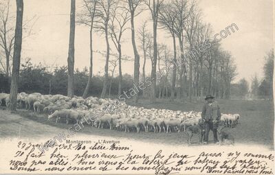 Carte postale ancienne L'Avenue — Montgeron (Essonne)