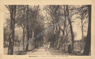 Carte postale ancienne Avenue de la Grange - La Promenade — Montgeron (Essonne)