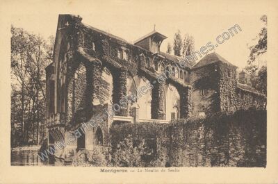 Carte postale ancienne Le Moulin de Senlis — Montgeron (Essonne)
