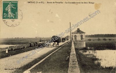 Carte postale ancienne Route de Versailles - La Chaussée entre les deux Etangs — Saclay (Essonne)