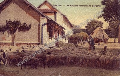 Carte postale ancienne Les Moutons rentrant à la Bergerie — Draveil (Essonne)