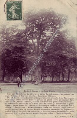Carte postale ancienne Foret de Senart — Étiolles (Essonne)
