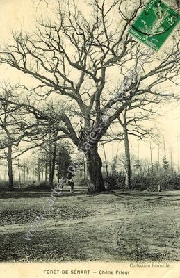 Carte postale ancienne Foret de Senart — Étiolles (Essonne)