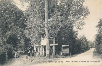Carte postale ancienne Allée Couverte et Route de Villecresnes — Yerres (Essonne)