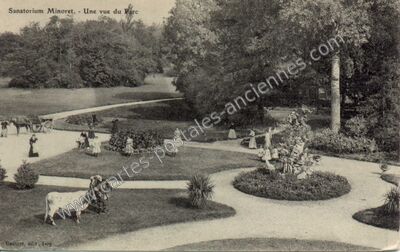Carte postale ancienne Champrosay — Draveil (Essonne)