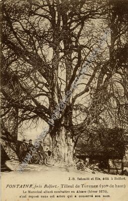 Carte postale ancienne Tilleul de Turenne — Fontaine (Territoire de Belfort)