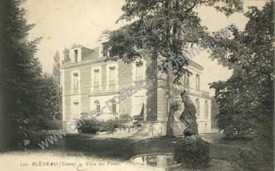 Carte postale ancienne Villa des Fleurs — Bléneau (Yonne)