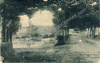 Carte postale ancienne Les Promenades — Charny (Yonne)