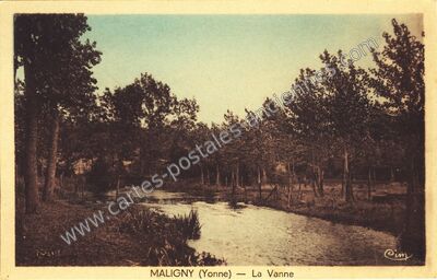Carte postale ancienne La Vanne — Maligny (Yonne)