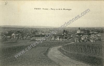 Carte postale ancienne Passy vu de la Montagne — Passy (Yonne)