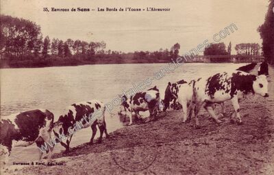 Carte postale ancienne Bords de l'Yonne — Non Localisée (Yonne)