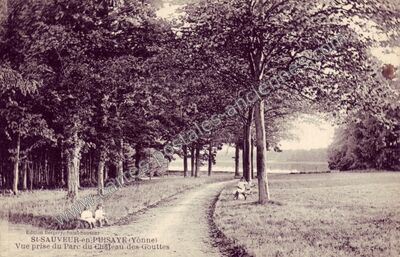 Carte postale ancienne Vue prise du Parc du Château des Gouttes — Saint-Sauveur-en-Puisaye (Yonne)