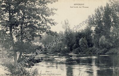 Carte postale ancienne Les bords de l'Yonne — Appoigny (Yonne)