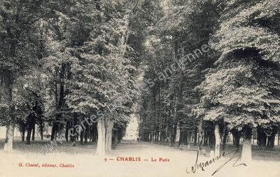 Carte postale ancienne Le Patis — Chablis (Yonne)