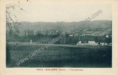 Carte postale ancienne Vue générale — Saligny (Yonne)