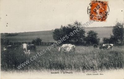 Carte postale ancienne La Prairie — Saligny (Yonne)