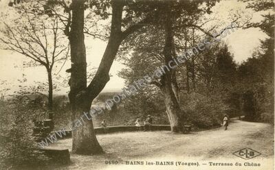 Carte postale ancienne Terrasse du Chêne — Bains-les-Bains (Vosges)