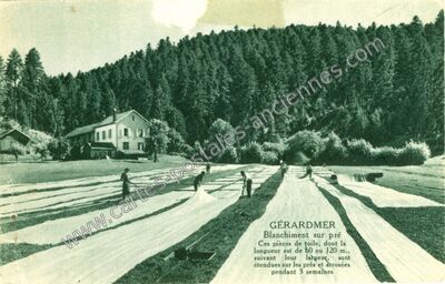 Carte postale ancienne Blanchiment sur pré — Gérardmer (Vosges)