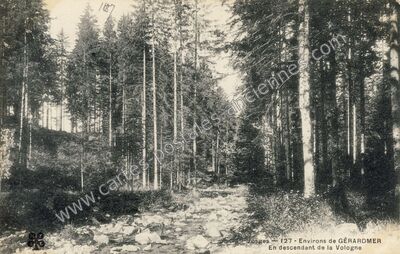 Carte postale ancienne La Vologne — Gérardmer (Vosges)