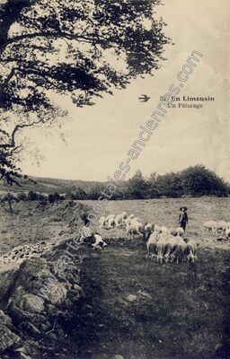 Carte postale ancienne En Limousin — Non Localisée (Haute-Vienne)