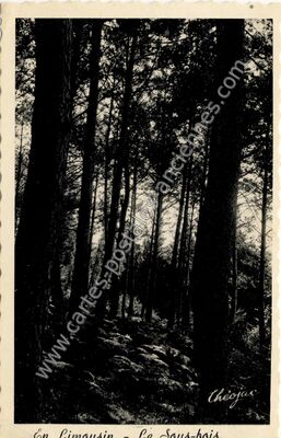 Carte postale ancienne En Limousin — Non Localisée (Haute-Vienne)