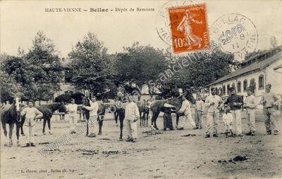 Carte postale ancienne Dépôt de Remonte — Bellac (Haute-Vienne)