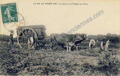 Carte postale ancienne La Vie au Grand Air — Non Localisée (Vienne)