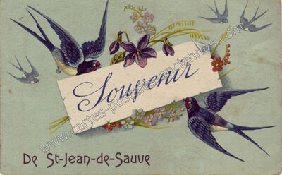 Carte postale ancienne Souvenir — Saint-Jean-de-Sauves (Vienne)