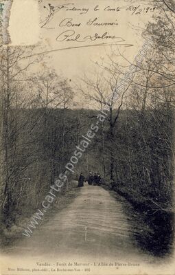 Carte postale ancienne Foret de Mervent — Mervent (Vendée)