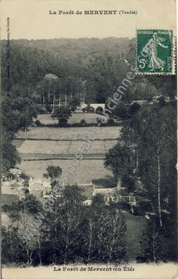 Carte postale ancienne Foret de Mervent — Mervent (Vendée)