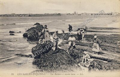 Carte postale ancienne Les Rochers à marée basse — Les Sables-d'Olonne (Vendée)