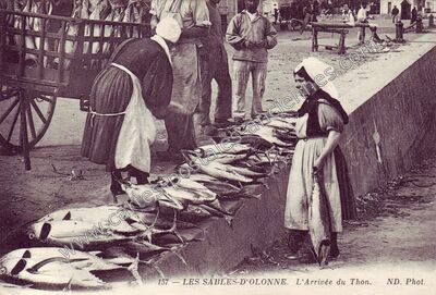 Carte postale ancienne L'Arrivée du Thon — Les Sables-d'Olonne (Vendée)