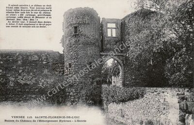 Carte postale ancienne Ruines du Château de l'Hébergement Hydreau - L'Entrée — Sainte-Florence (Vendée)