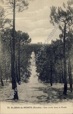 Carte postale ancienne Une route dans la Forêt — Saint-Jean-de-Monts (Vendée)